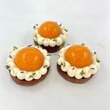 Tarte individuelle Abricots Thym